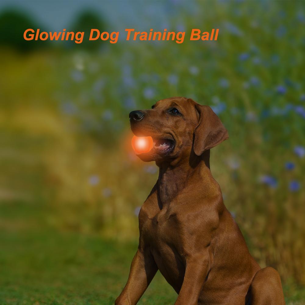 Quả bóng cao su có đèn led nhấp nháy huấn luyện cho chó tương tác