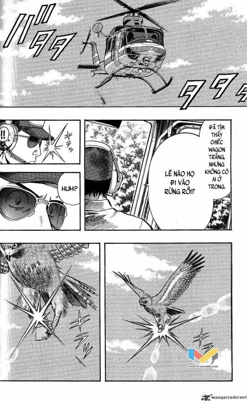 animal sense chapter 11 16