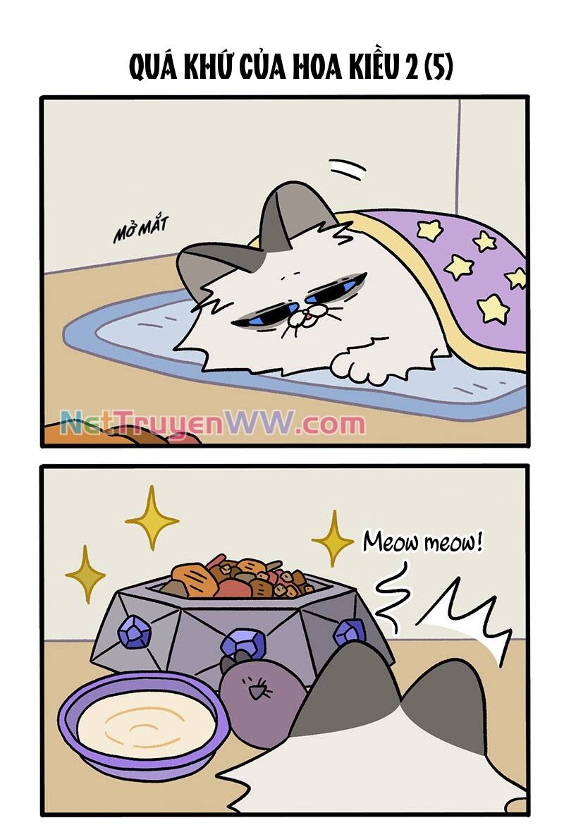 a mãn và mạch trà chapter 48.1 3