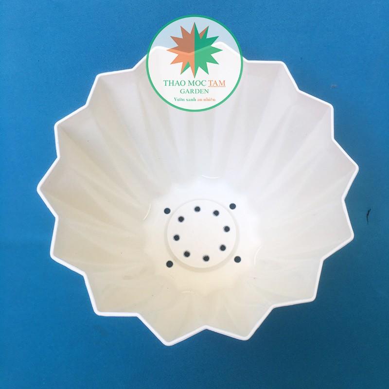 Chậu Kim Cương 25x22cm cạnh khế – Chậu nhựa kim cương nhiều cạnh, trồng hoa, cây kiểng trang trí sang trọng