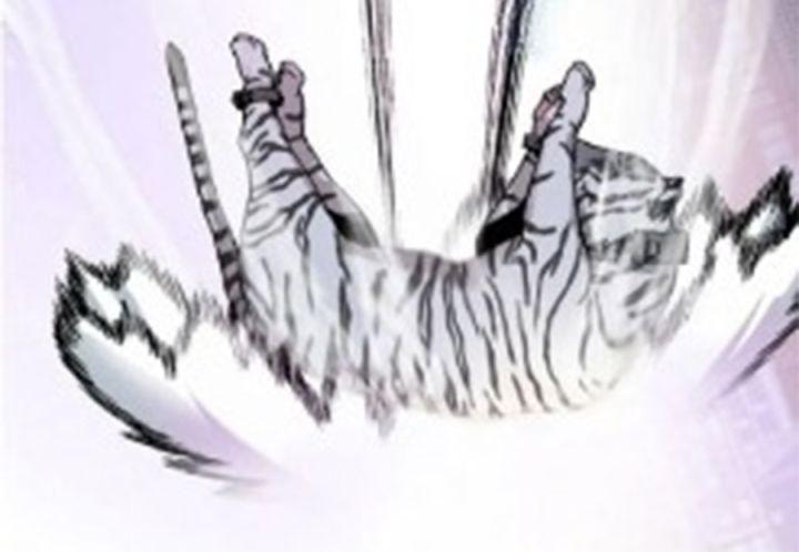 tôi là người mạnh nhất khi theo chủ nghĩa võ thuật chapter 18 5