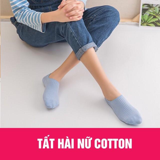 Combo 5 đôi tất hài gân 1 màu hot hit ngẫu nhiên