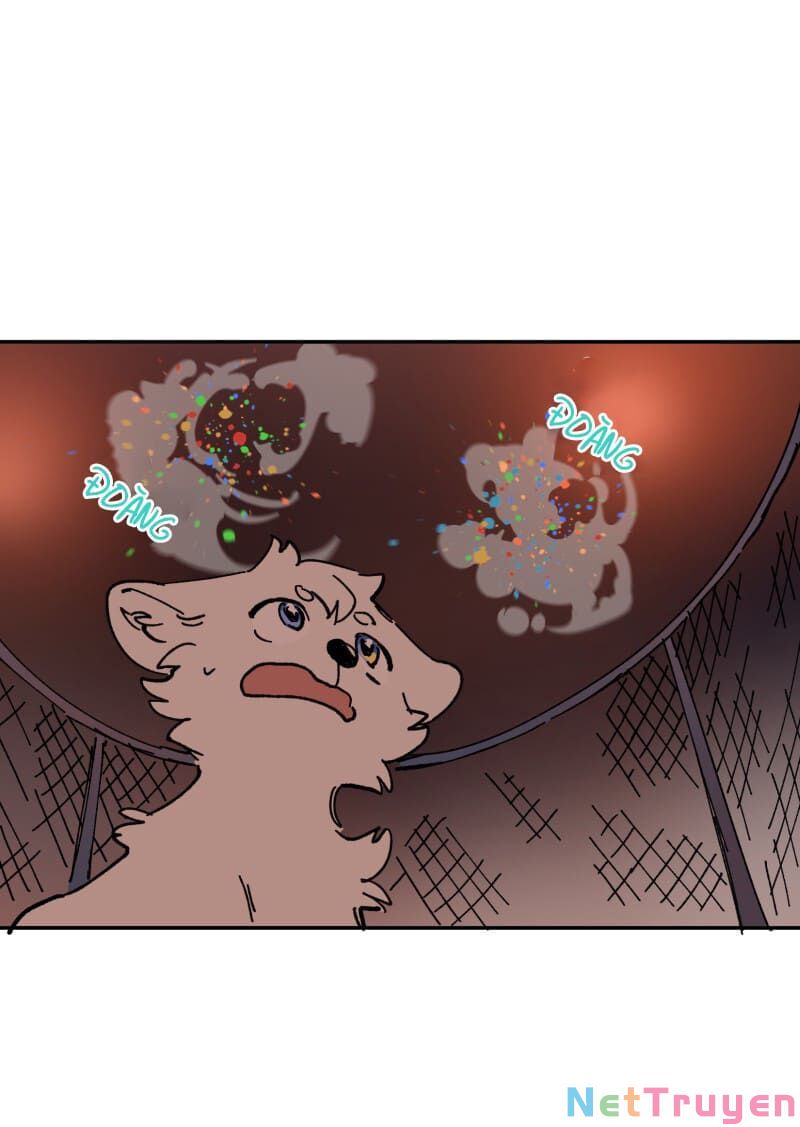 lumine - cội nguồn ánh sáng chapter 113 50