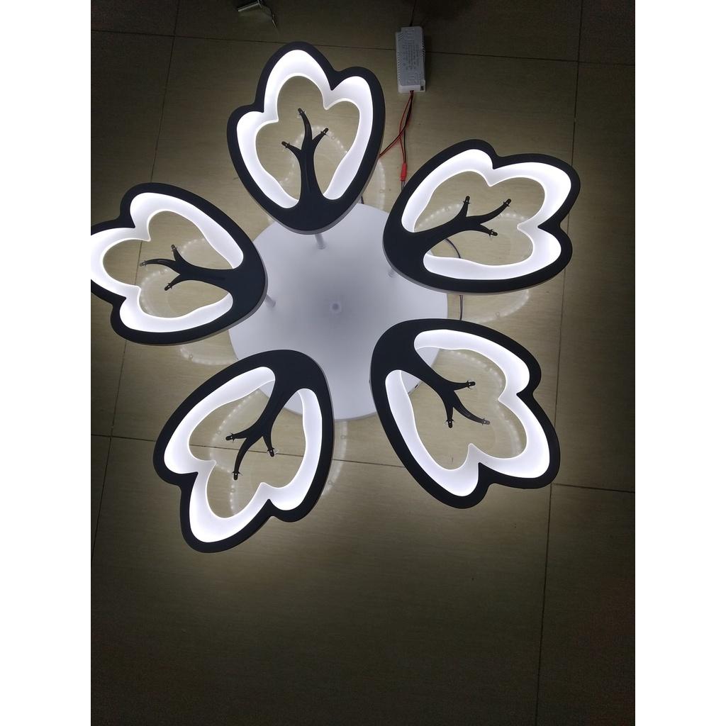 Led mâm mica trang trí trần- phi 700