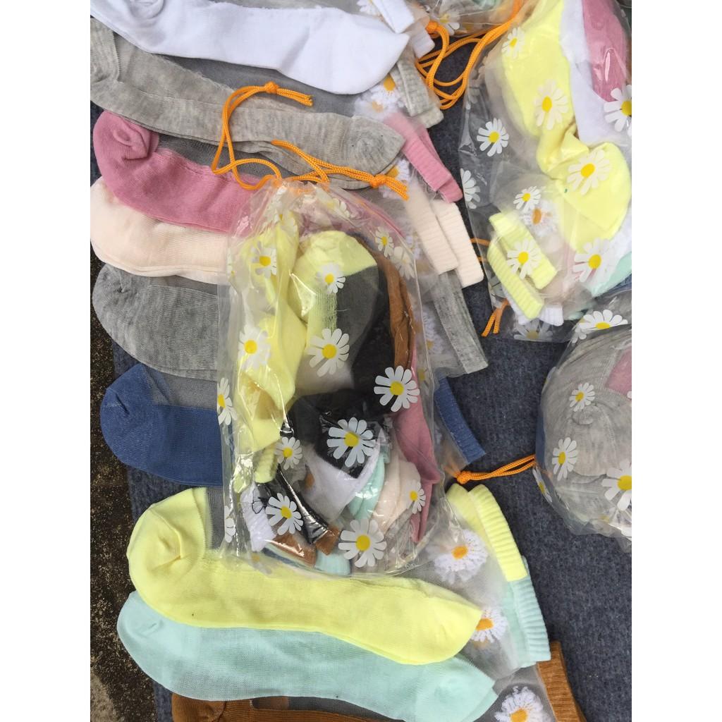 Set 10 Đôi Tất Lưới Hoa Cúc