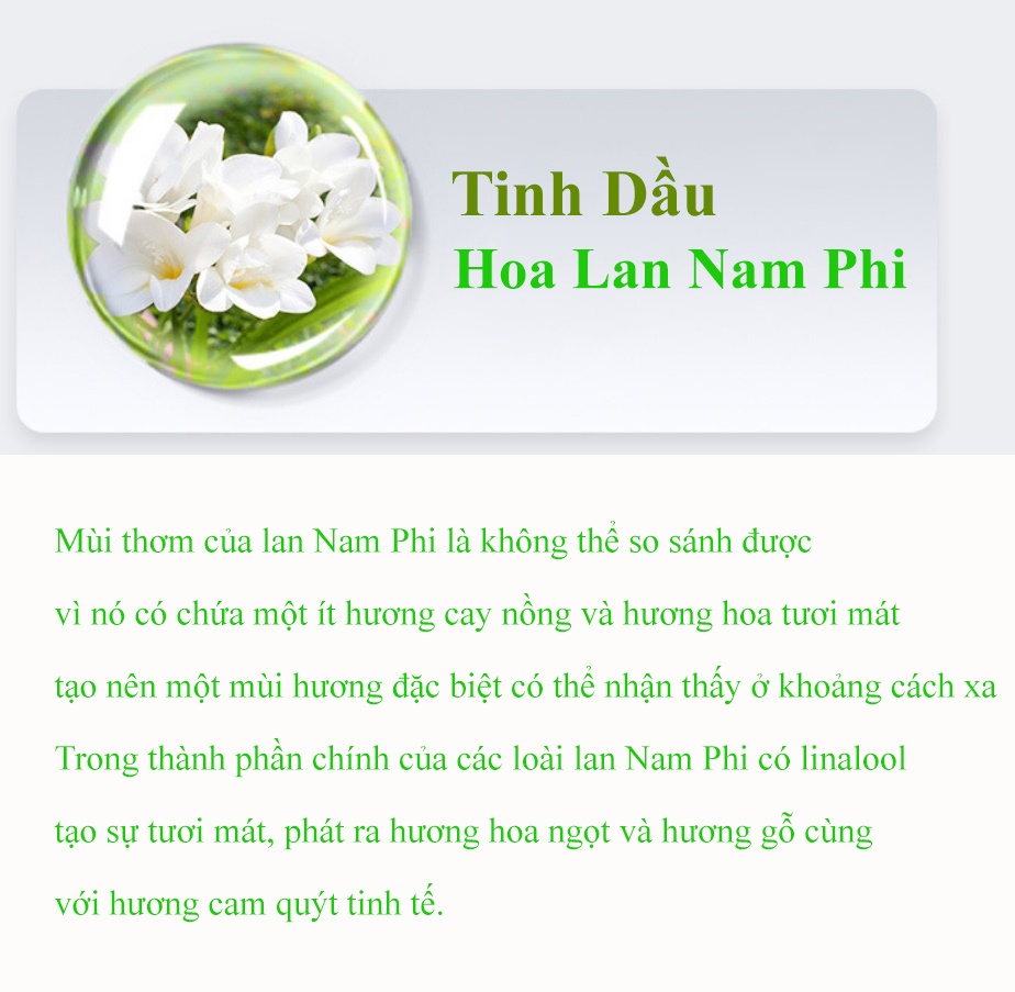 Máy Xông Tinh Dầu Khuếch Tán Hương Thơm DGS-001 - Tạo Ẩm Phun Sương - Hẹn giờ Tắt - Lan Tỏa Hương Thơm Cả Nhà - CÓ VIDEO