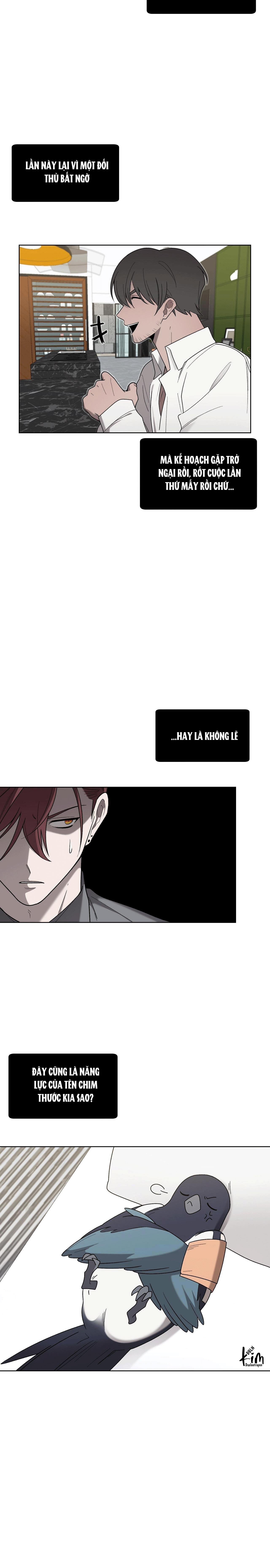 khi chim thước đến chapter 18 3