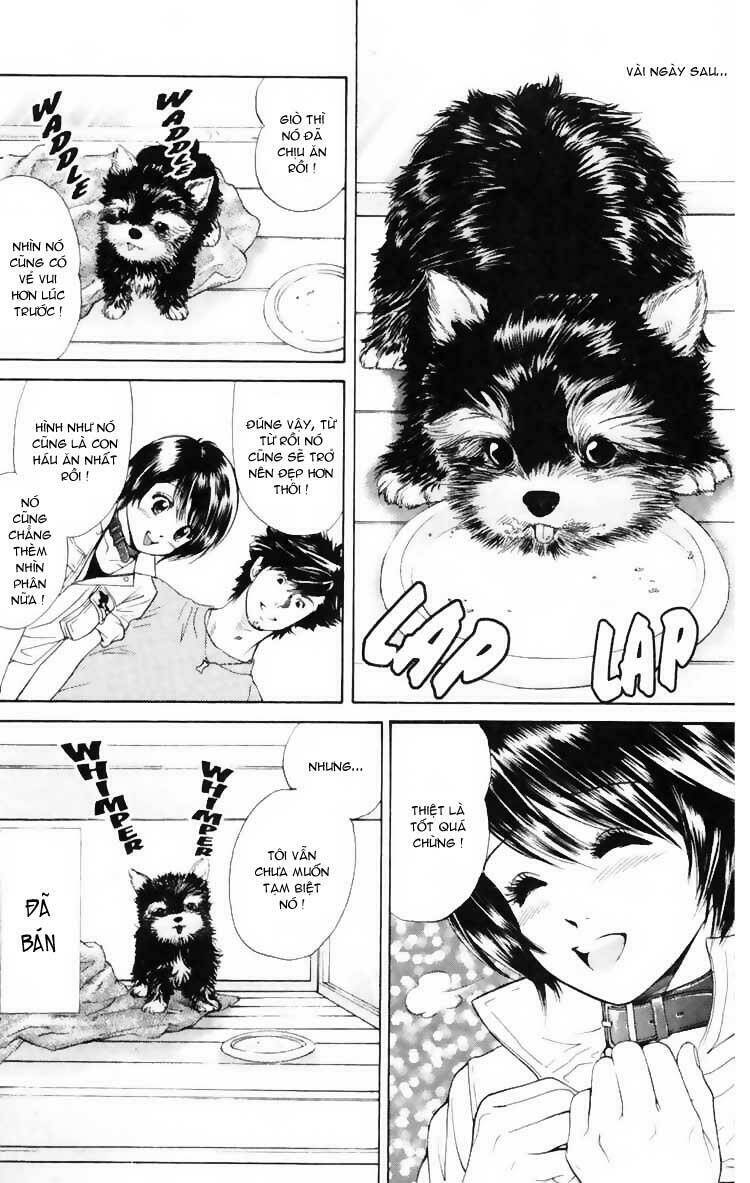 cô nàng yêu chó chapter 3 24