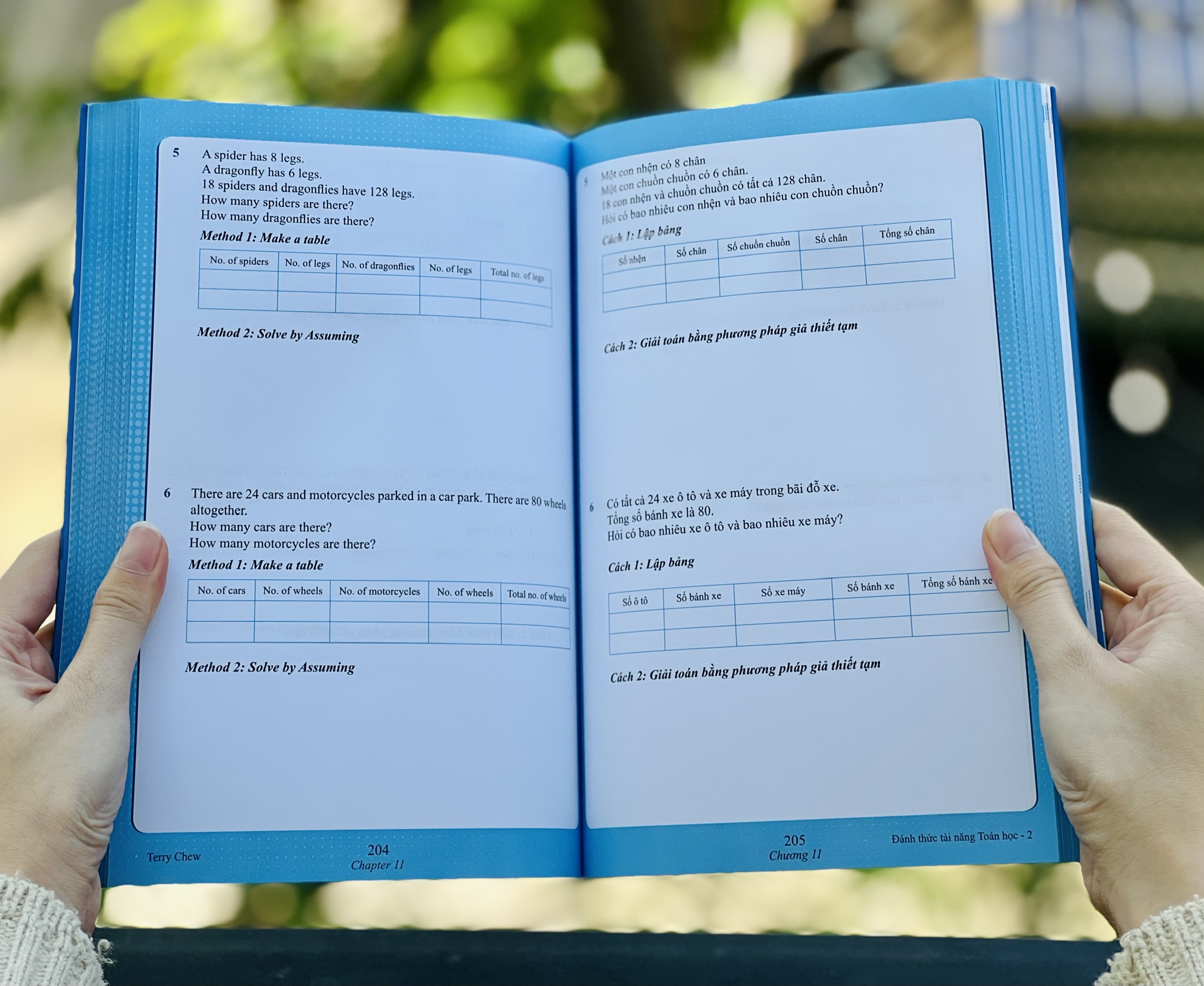 Sách - Đánh thức tài năng toán học 2 - Toán lớp 2, lớp 3 -Á Châu Books