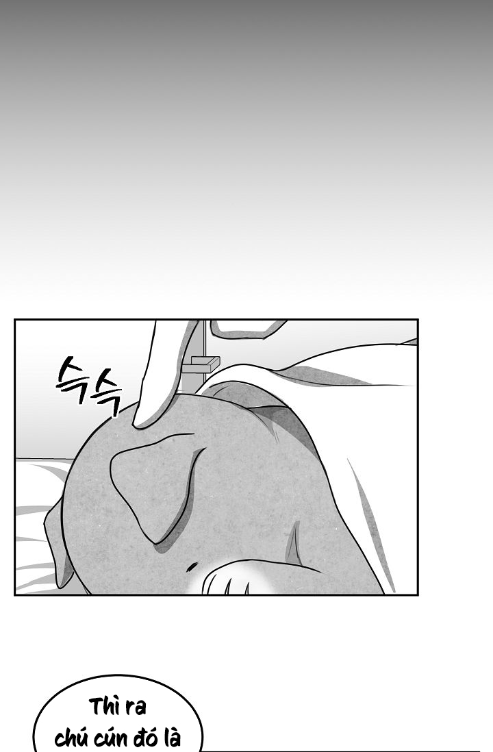 khi cún biết yêu chapter 10 51