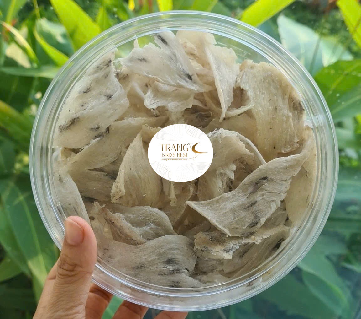 Chân Yến Thô Cao Cấp [Hộp 100gr] - Yến thơm ngon giá rẻ - Ăn yến giúp đẹp da - Yến sào Trang Bird nest- Tăng Cường đề kháng - Tăng Hệ Miễn Dịch - Tốt Cho Phụ Nử