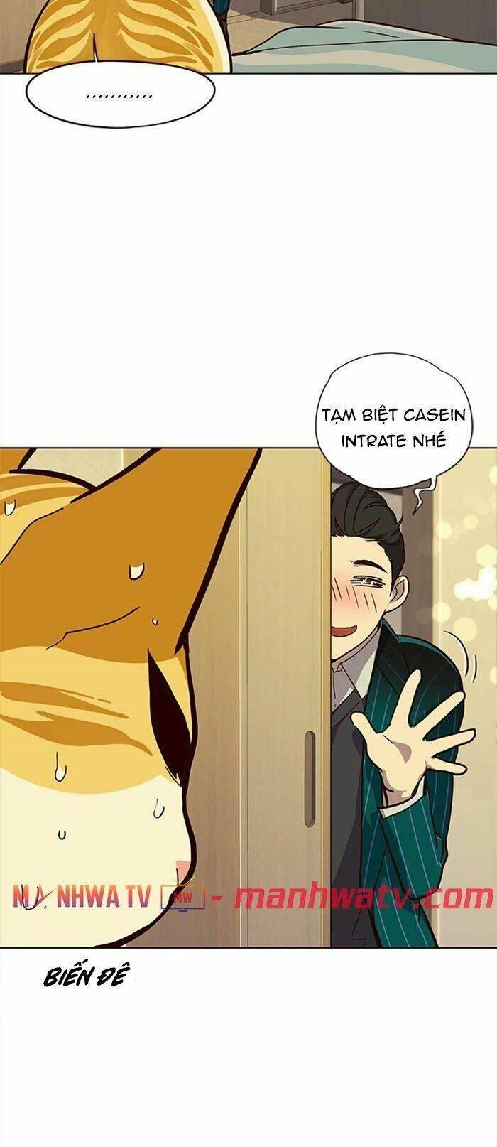 biến thân thành mèo chapter 29 34