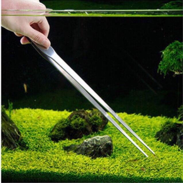 Nhíp Và Kéo Inox - Trồng Cây Cho Hồ Thủy Sinh