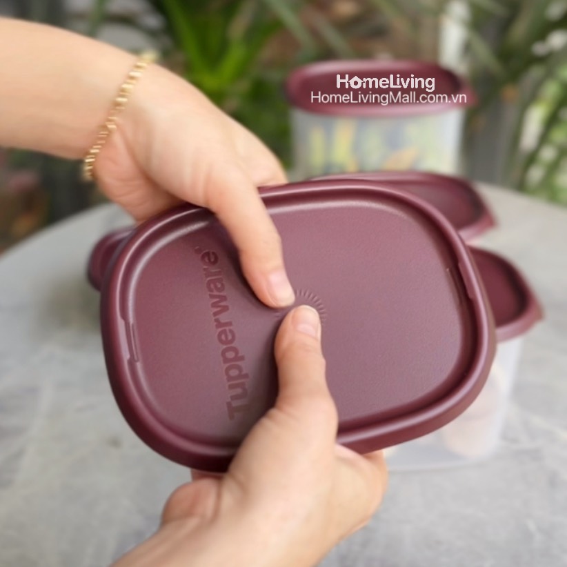 Bộ Trữ Khô &amp; Mát Tupperware One Touch Fresh Set 5