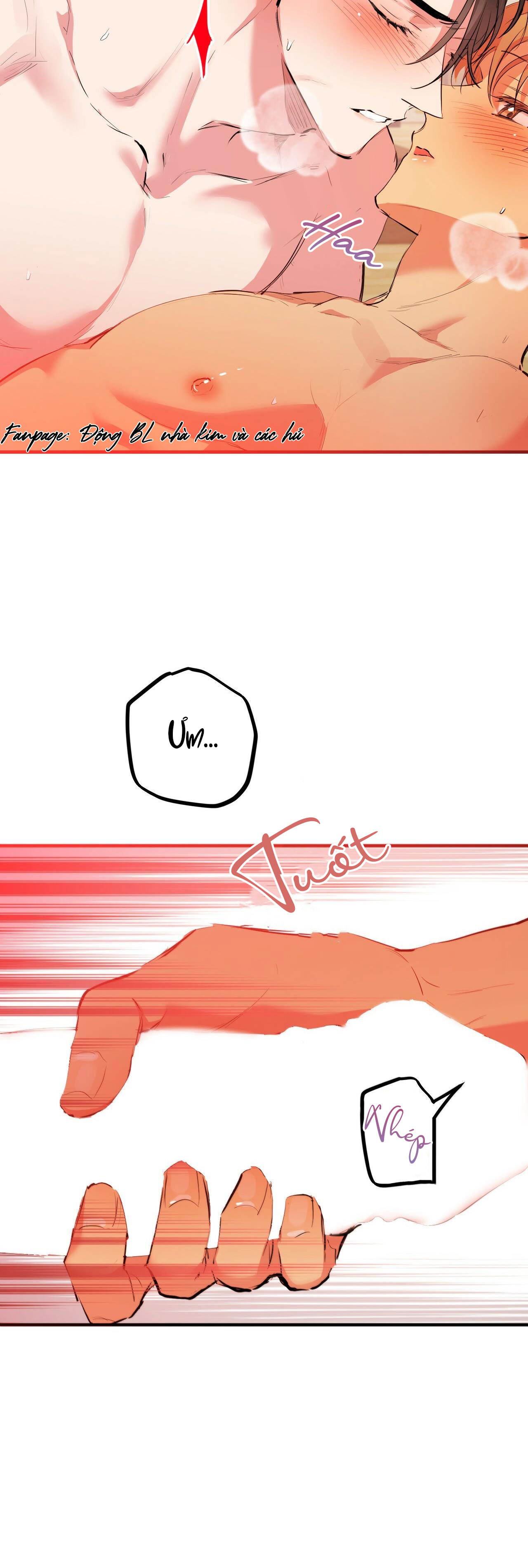 những chú thỏ của hapypy chapter 29 19