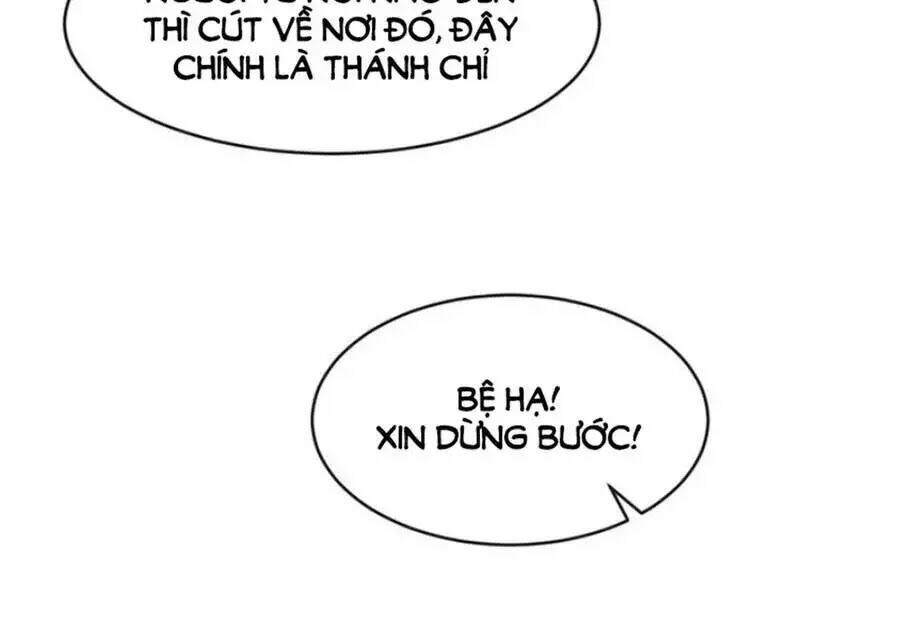 hội học sinh kiêu ngạo của hoàng cung chapter 16 32