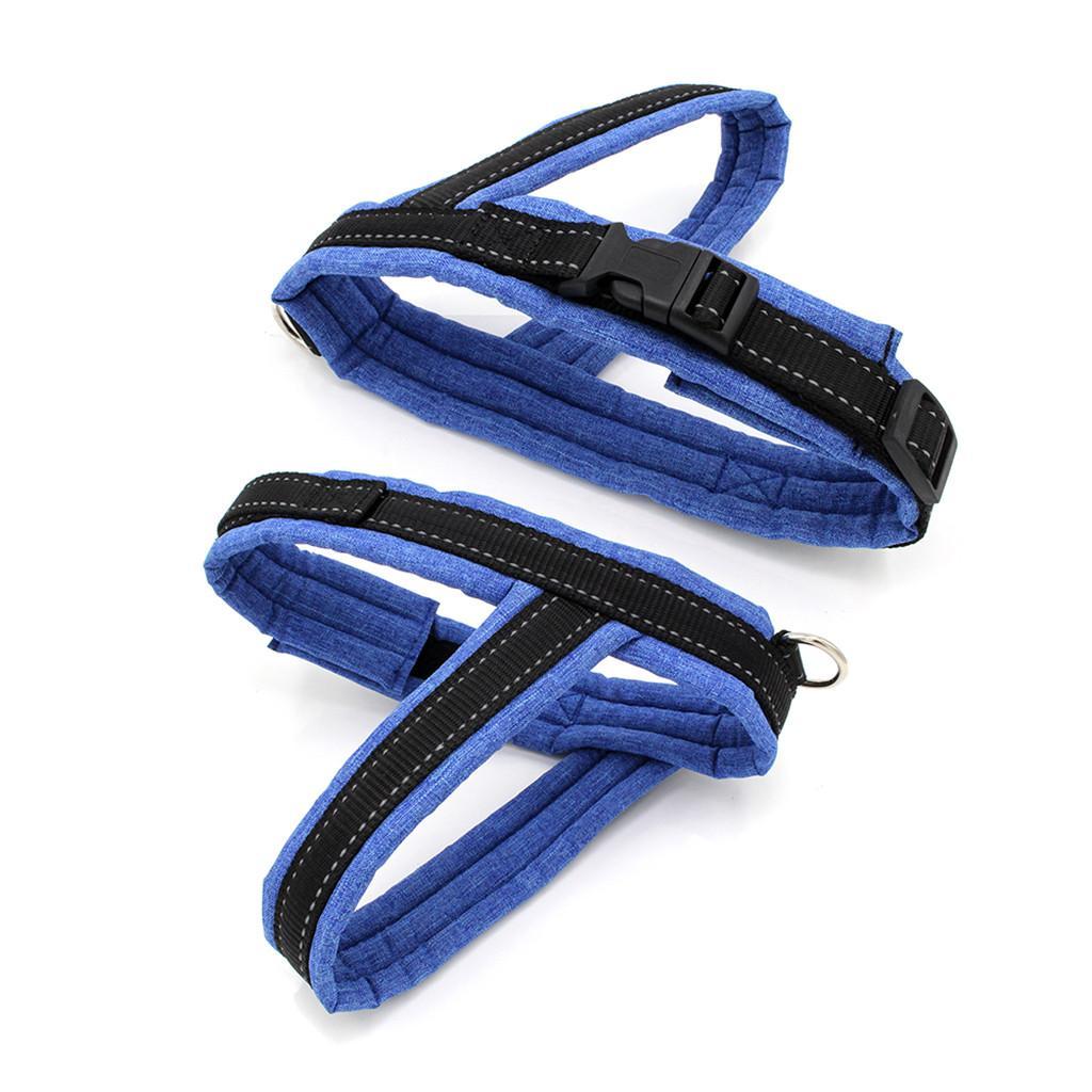 Pet Harness Vest Set Pet Walking Leash for Small Cat Dog