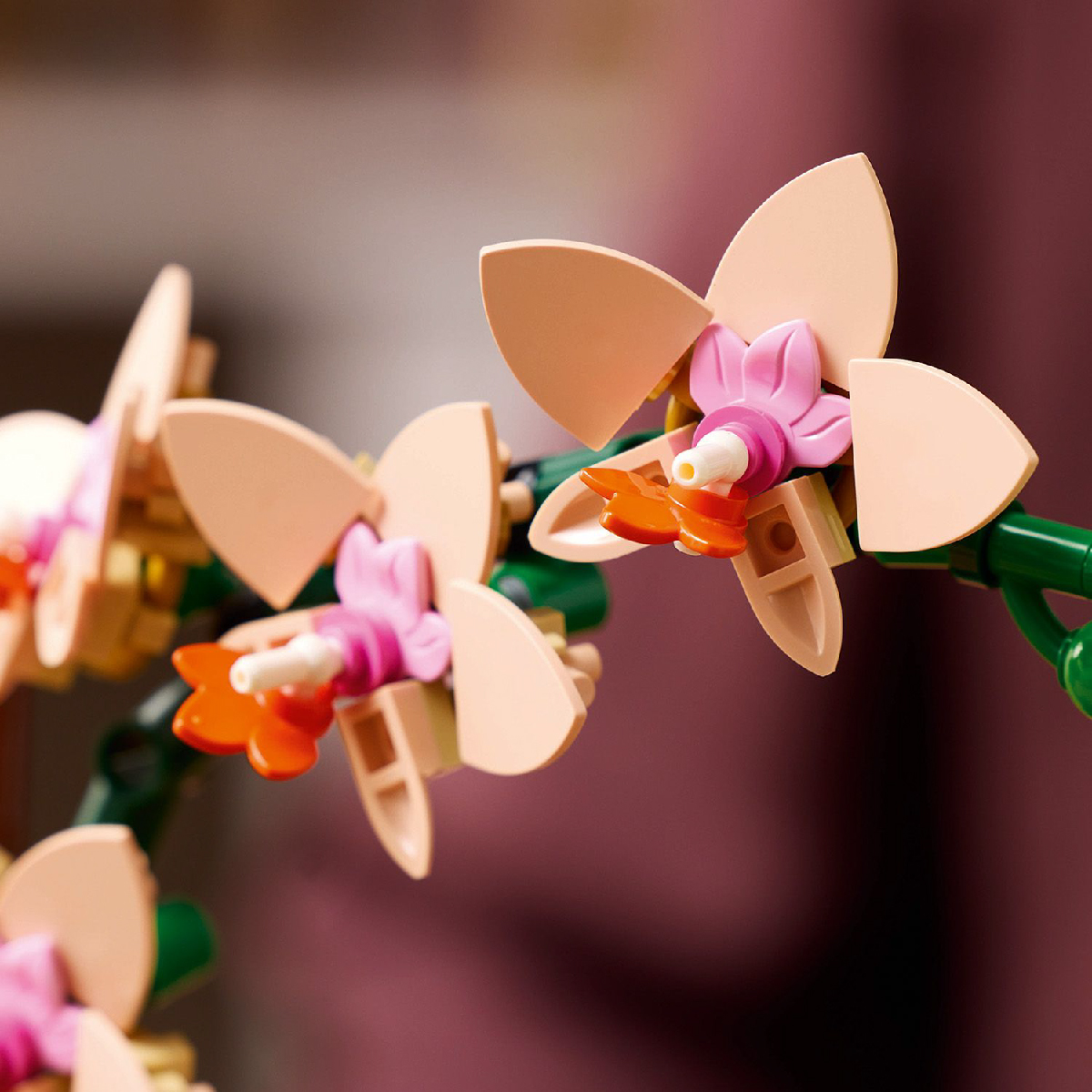 LEGO BOTANICALS 10343 Đồ Chơi Lắp Ráp Hoa Lan Nhỏ (274 Chi Tiết)