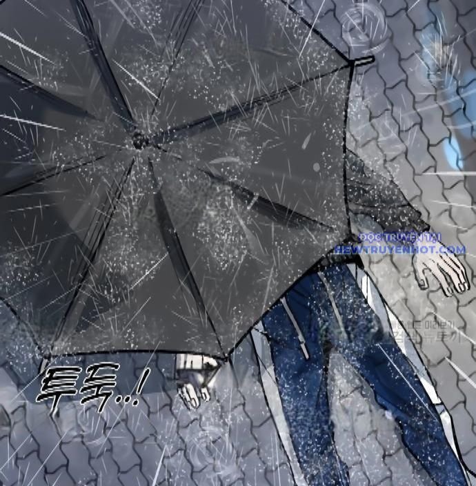 shark - cá mập chapter 298 211