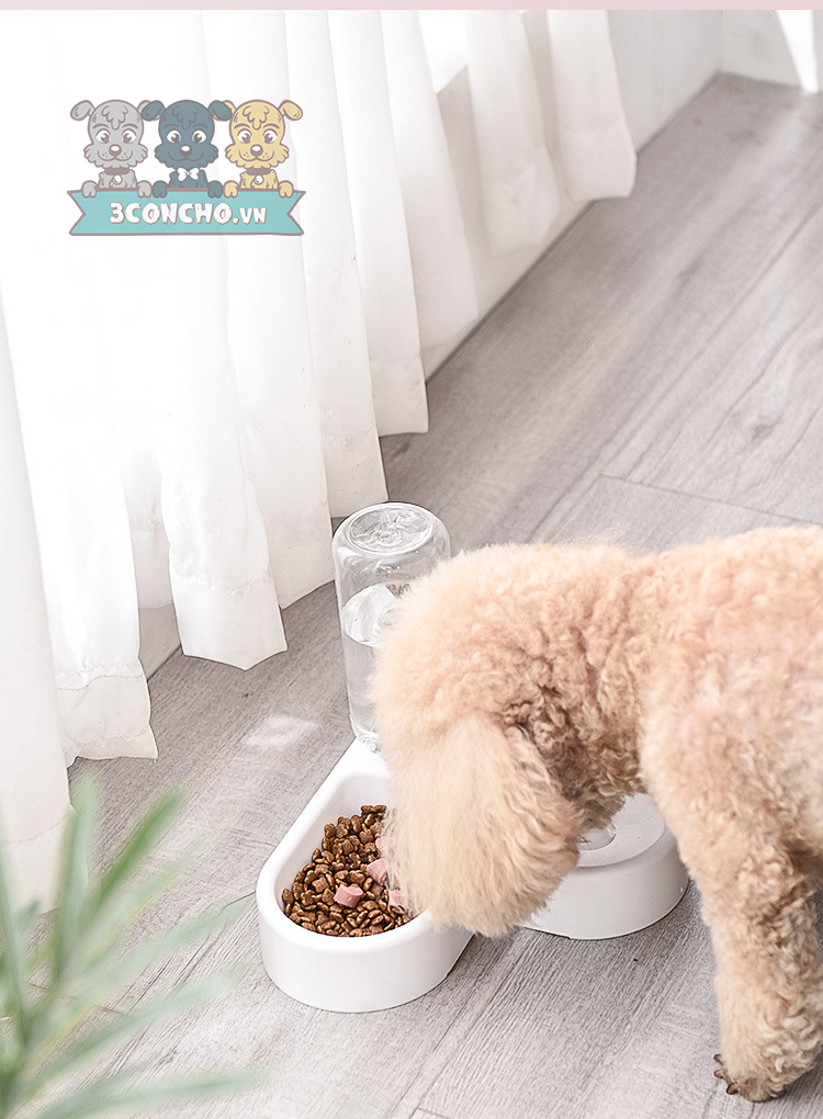 Bát ăn cho chó tự động có bình nước tự động để gọn vào góc tường