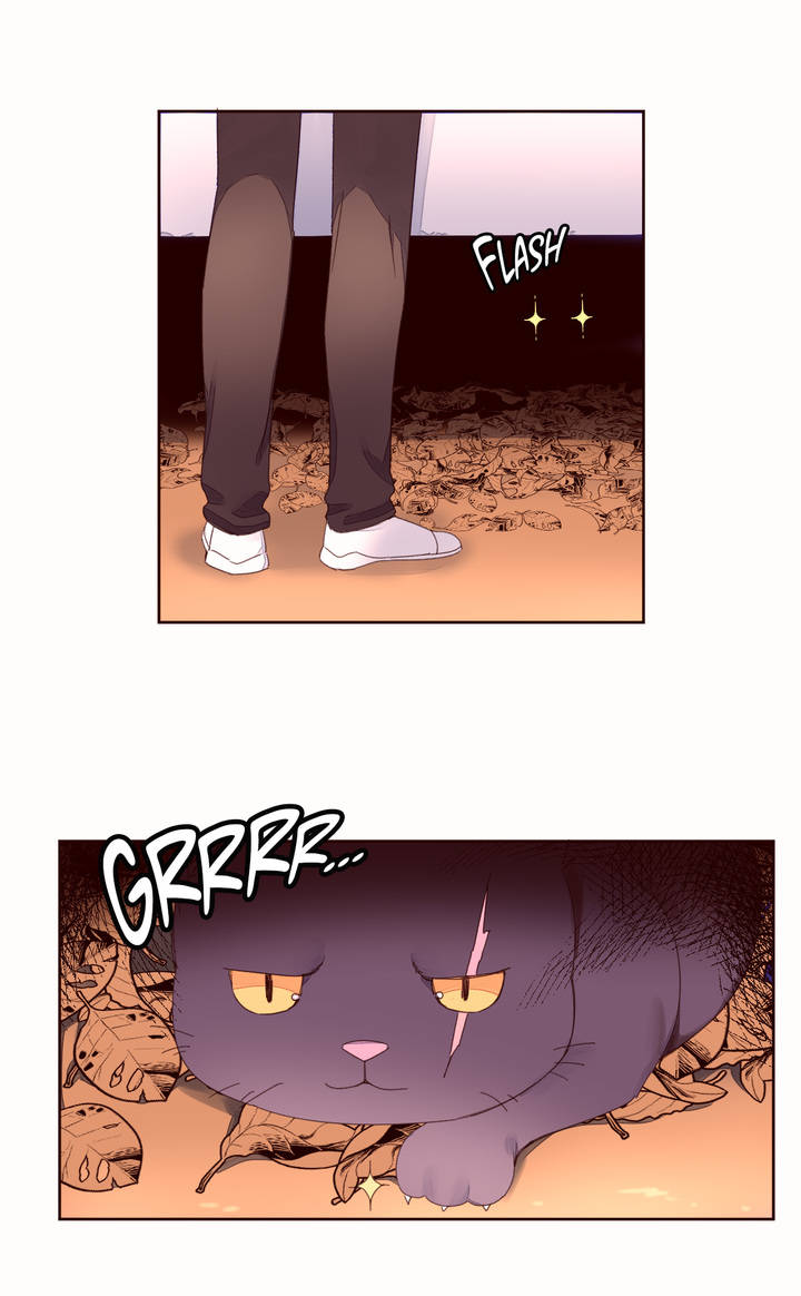 [raw] pheromone holic chapter 41 5