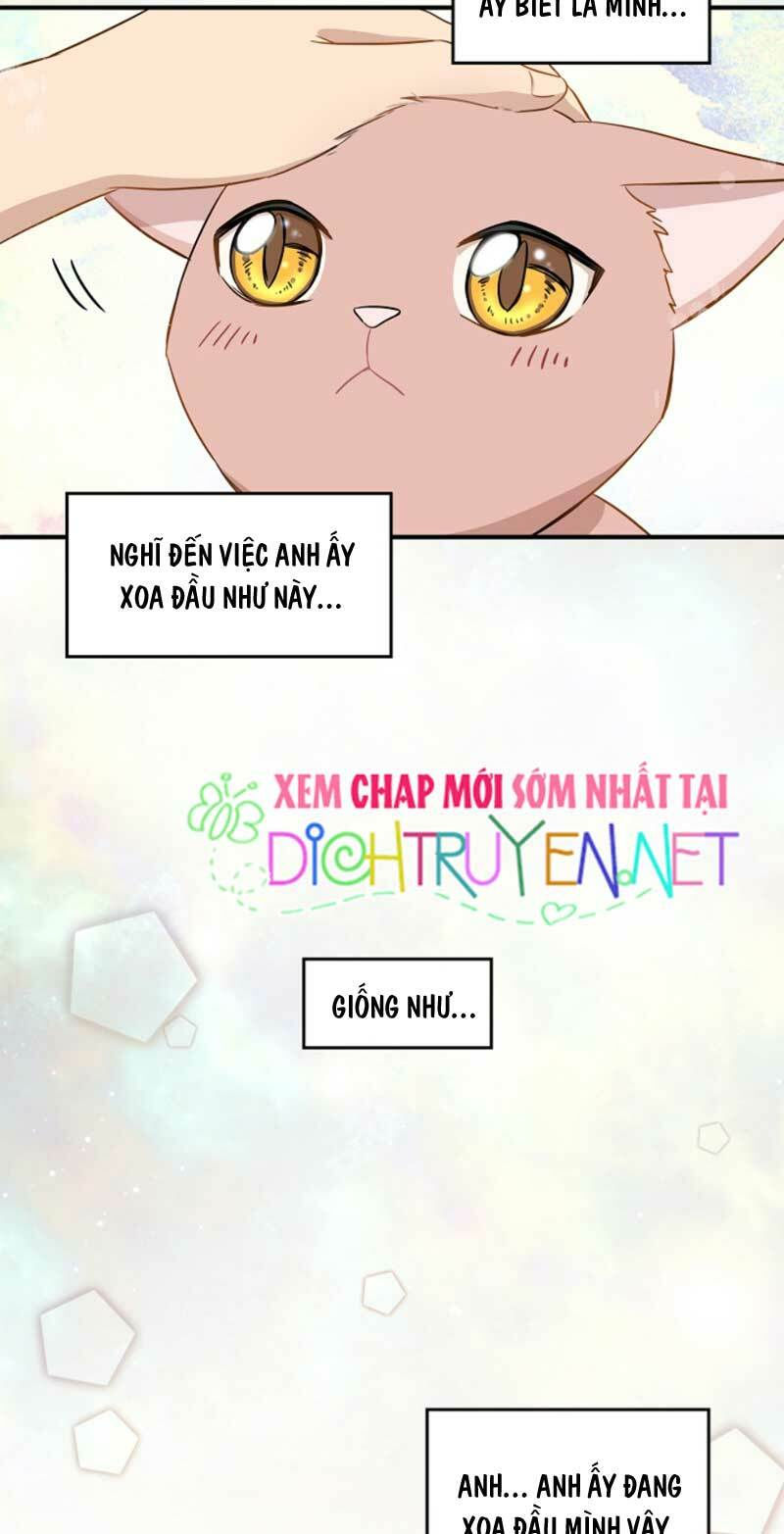 cuộc sống kỳ thú chapter 3 3