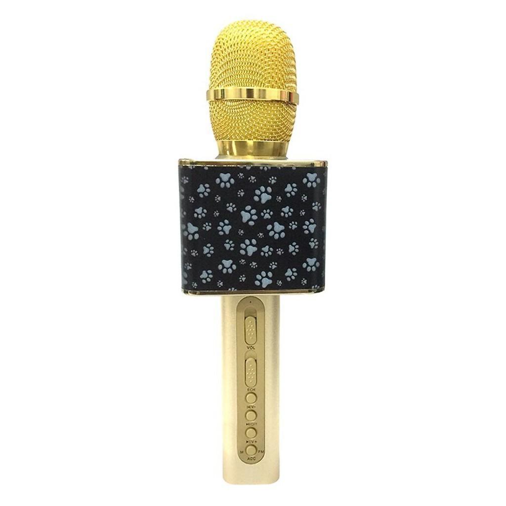 micro karaoke bluetooth