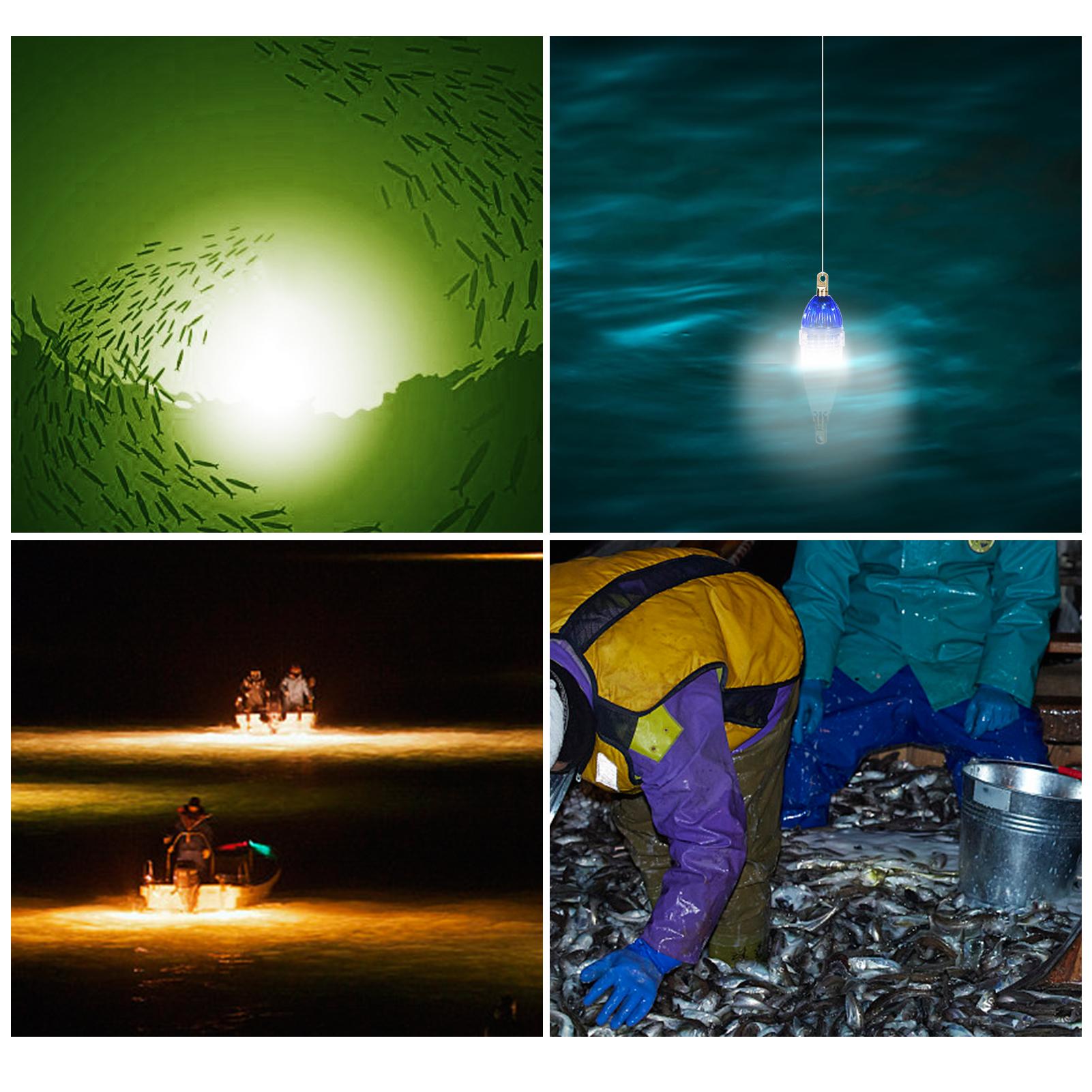 5 đèn led câu cá thu hút cá không thấm nước