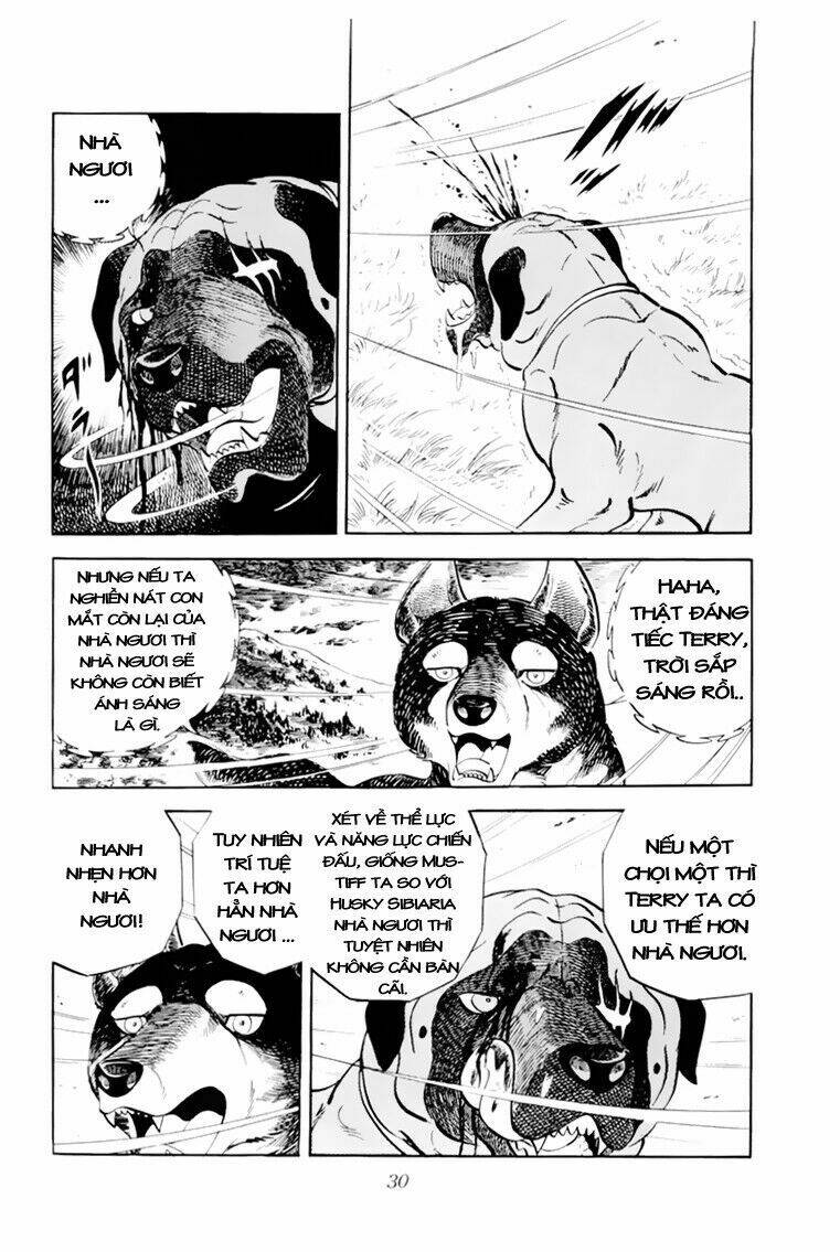 chú chó có nghĩa - ginga nagareboshi gin chapter 31 30