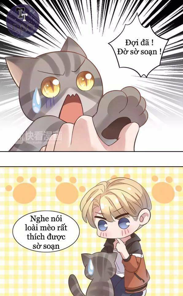 thị hoang chi thần chapter 19 37