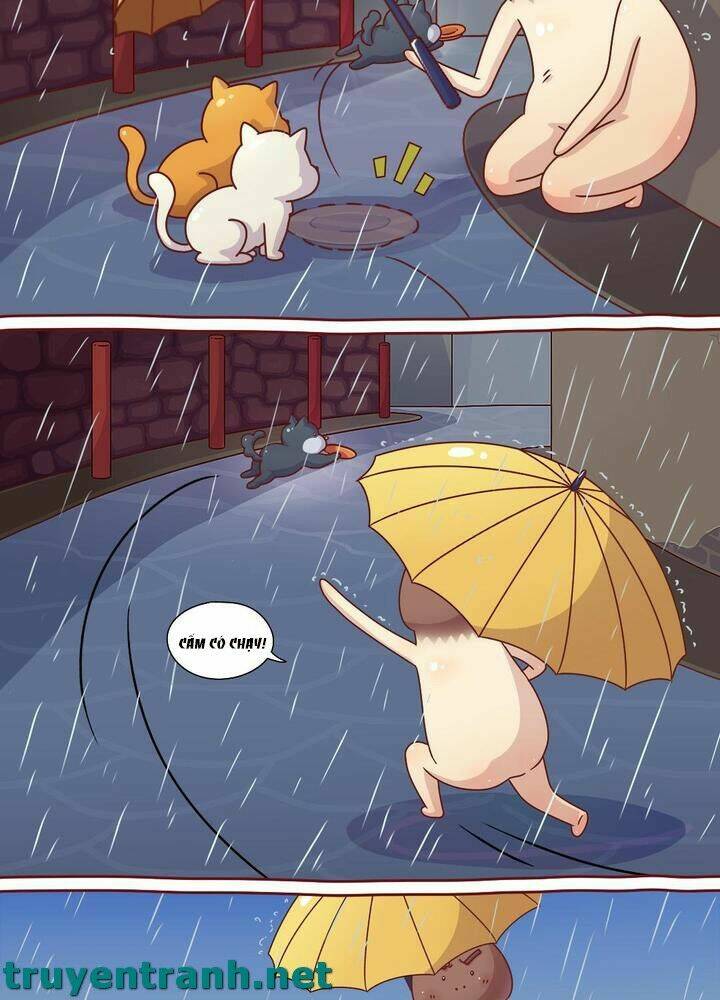 cây nấm kì khả chapter 10 9