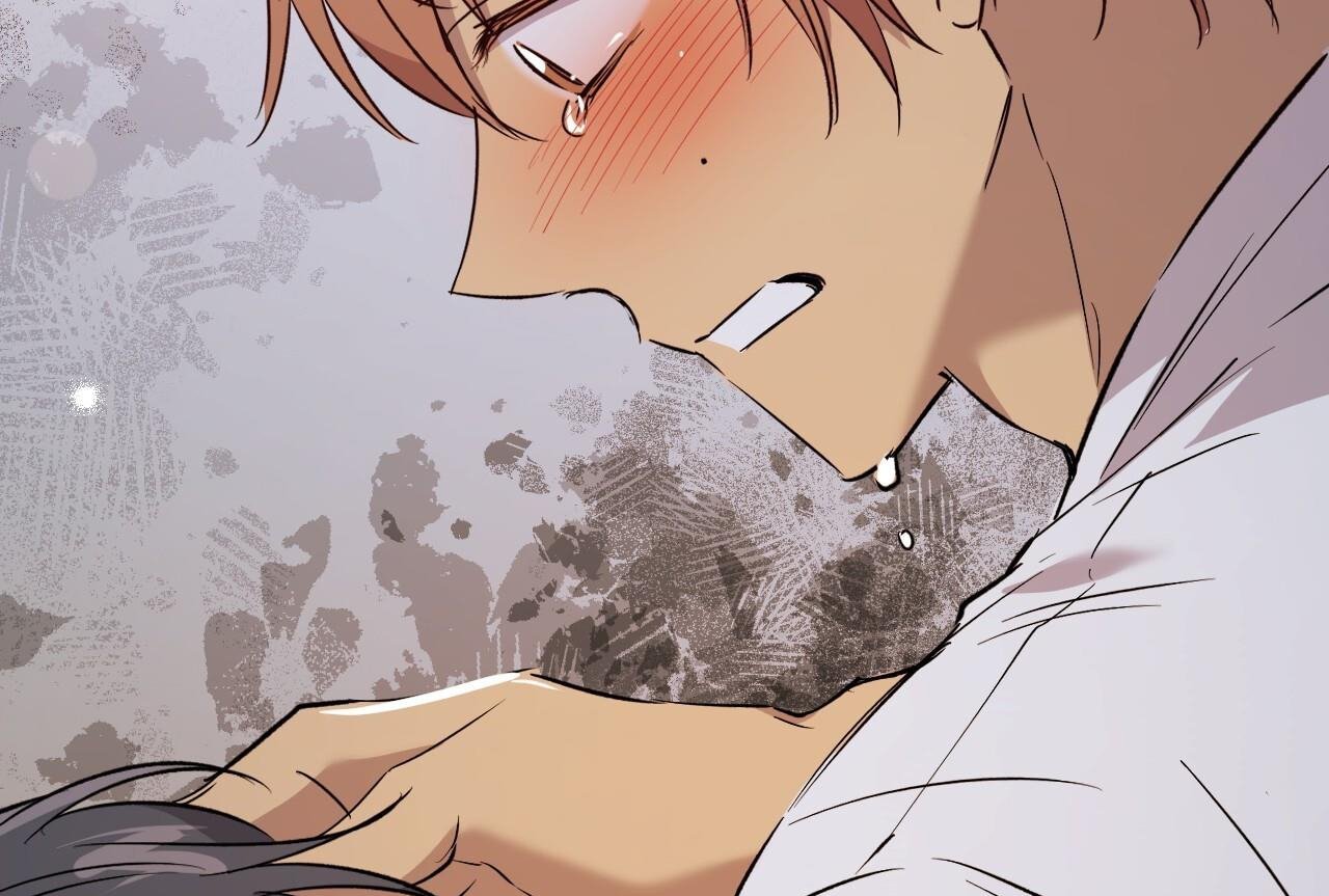 những chú thỏ của hapypy chapter 58 245