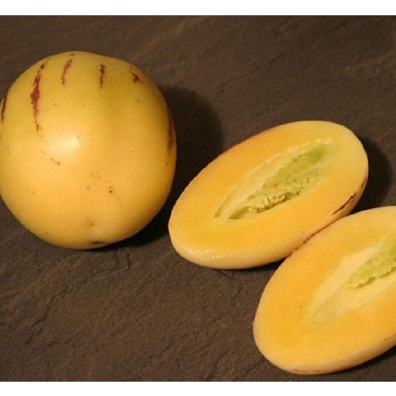 Hạt giống dưa hấu siêu ngọt pepino F1 - Gói 5 hạt - Tặng gói kích hạt nảy mầm