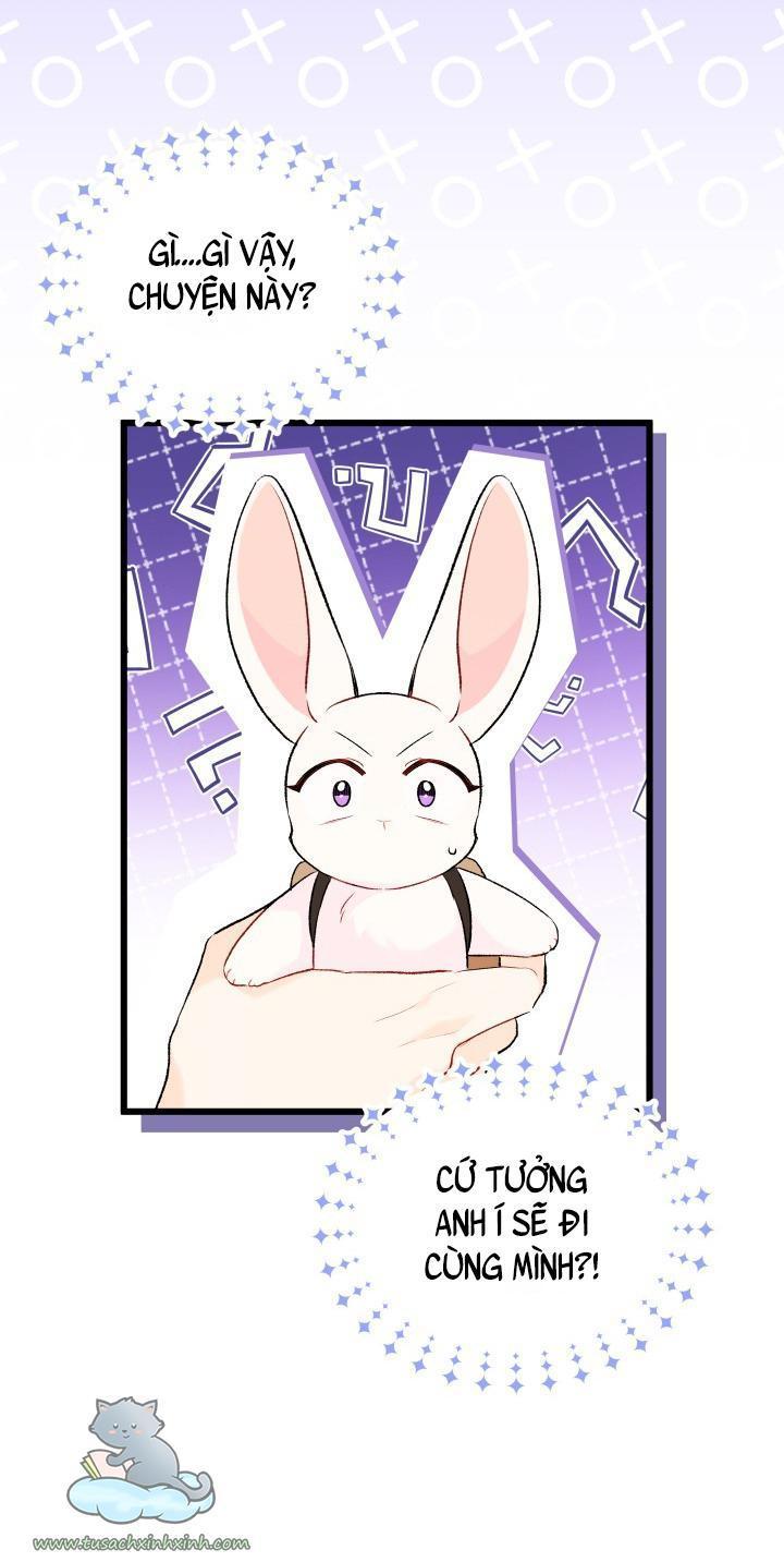 quan hệ cộng sinh giữa báo đen và thỏ trắng chapter 59 61