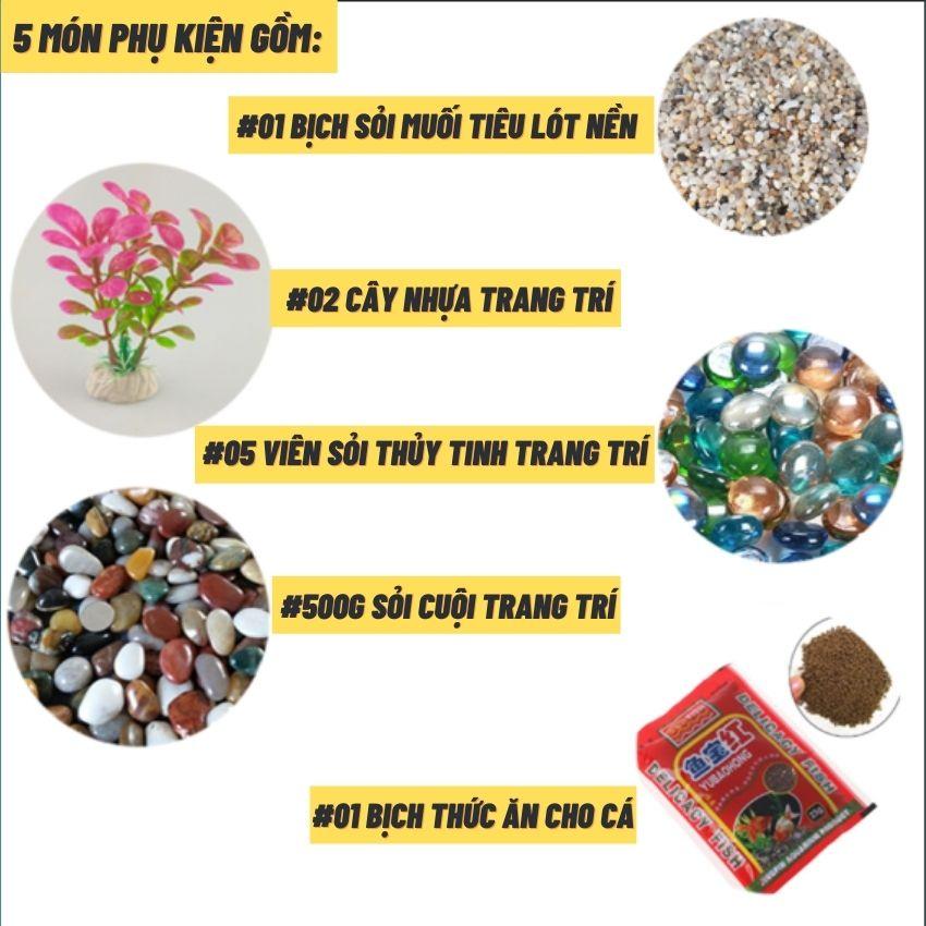 Bể cá mini COMBO ĐẦY ĐỦ, bể cá để bàn dùng nuôi kiểng hoặc thủy sinh