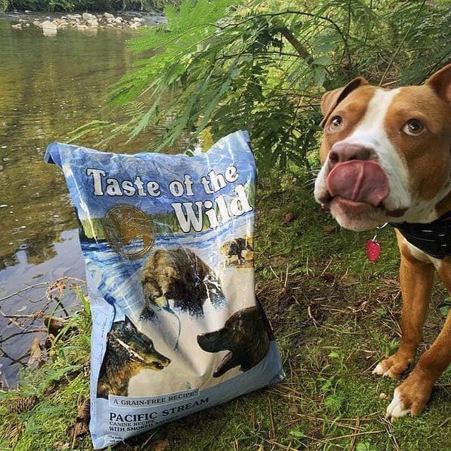 Thức Ăn Cho Chó Bully Taste Of The Wild Bao 2kg - Pacific Stream Thức Ăn Cho Chó, Vị Cá Hồi Xông Khói, Rau Củ Quả