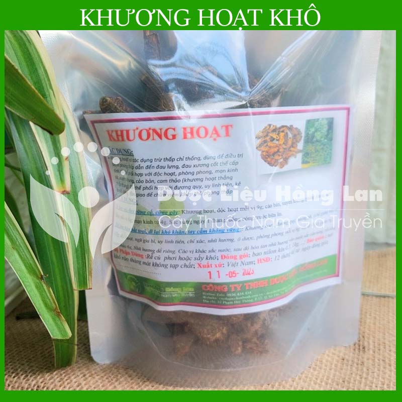 [THƯỢNG HẠNG] 500g Khương Hoạt khô đẹp loại 1