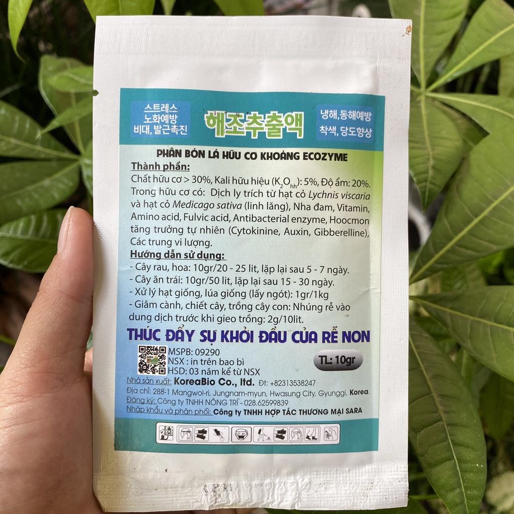 Combo 3 bịch kích rễ Root 6 - kích rễ lành tính