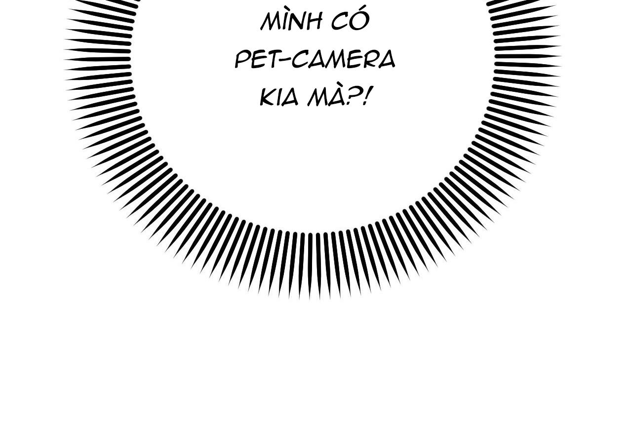 đàn thỏ của habibi chapter 32 116