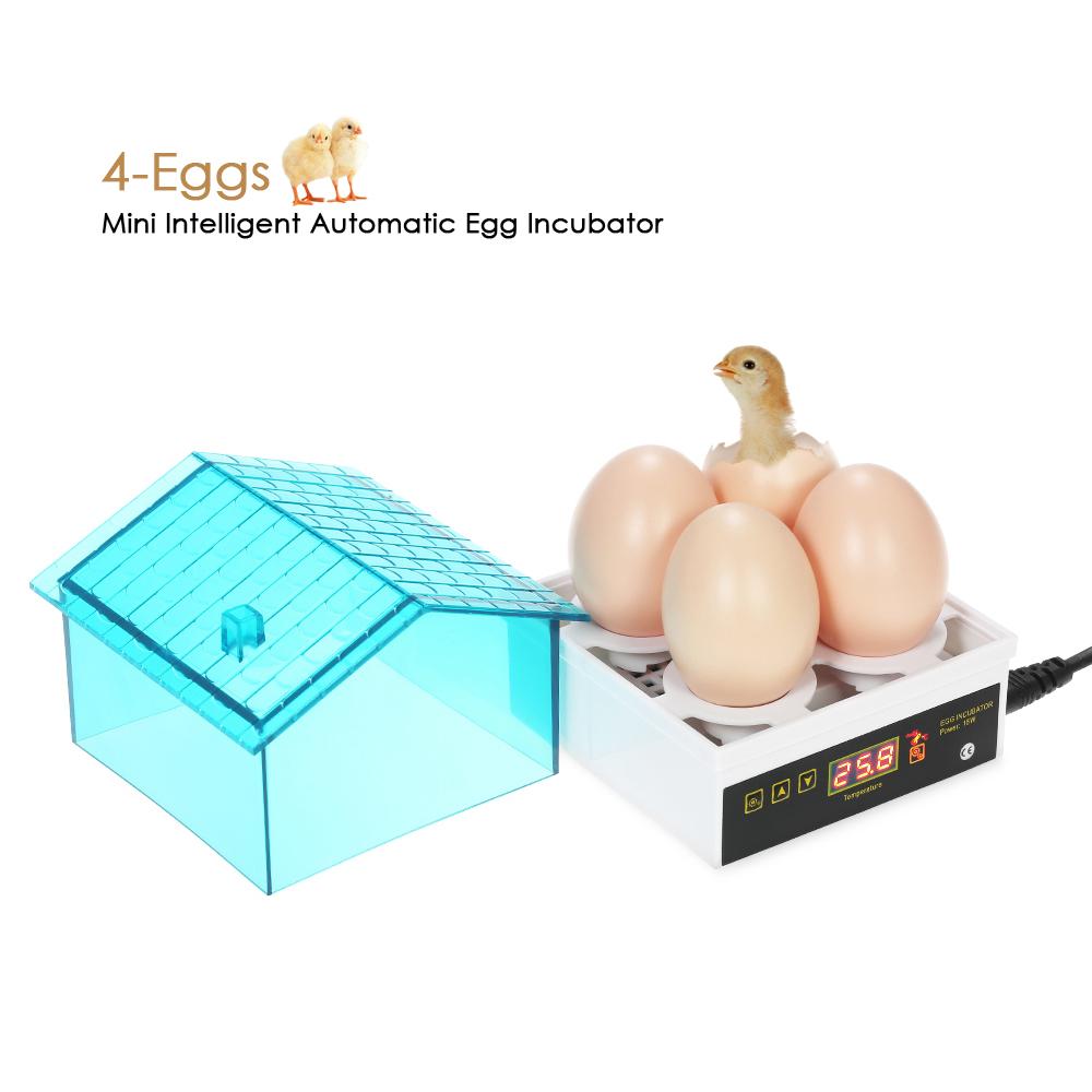 Máy ấp trứng tự động thông minh điều khiển bằng nhiệt độ