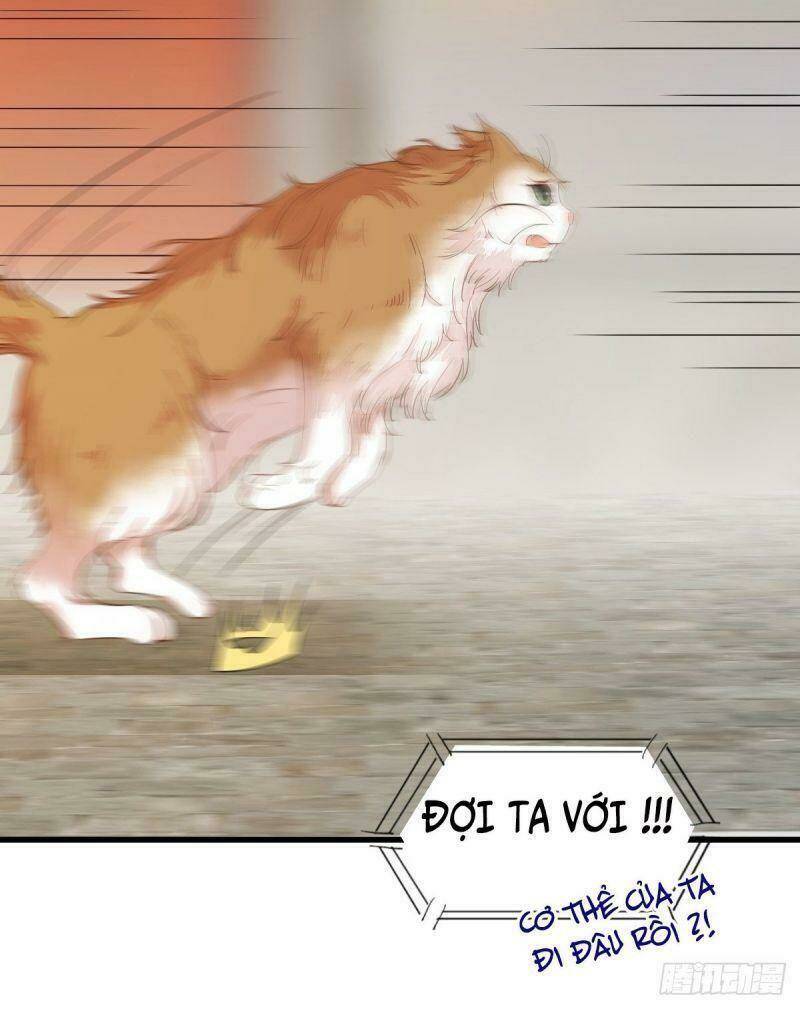 sát thủ vương phi không dễ chọc chapter 32 15