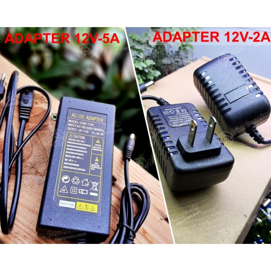Bộ Quạt DIY Siêu Bão || Quạt Làm Mát Cho Bể Thuỷ Sinh, Cá Cảnh