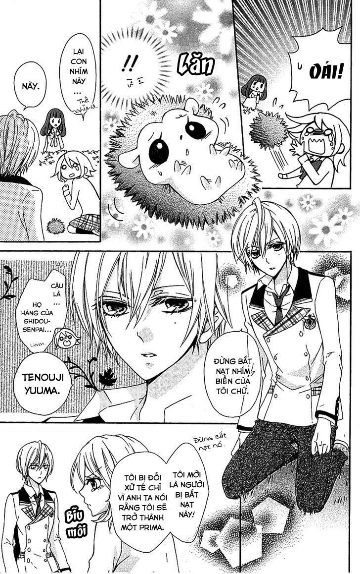 primo prima! chapter 3 9