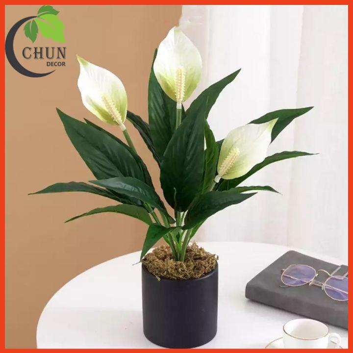 Chậu Hoa Để Bàn Bình Hoa Lan Ý Sang Trọng Cao 47cm Trang Trí Phòng Khách Văn Phòng Cửa Hàng