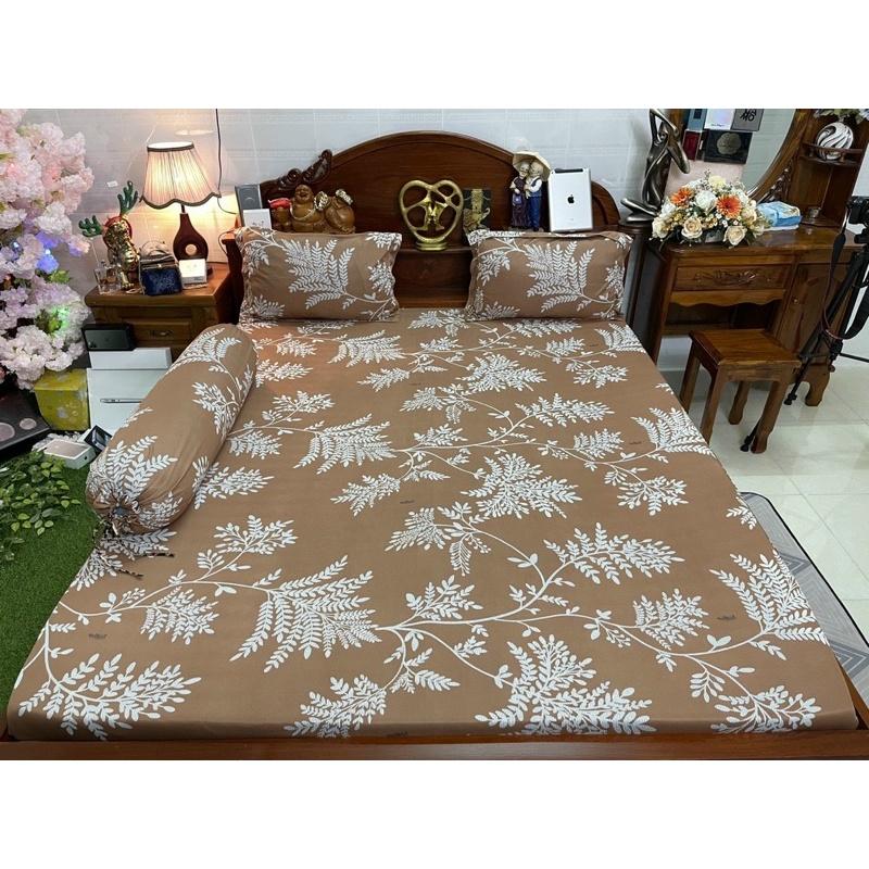 Drap thun hàn quốc
