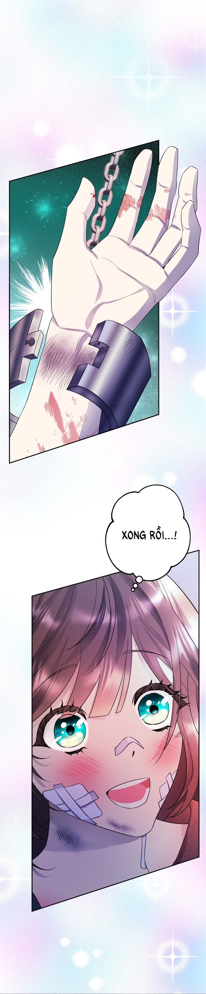 [18+] nếu cứu rỗi một cầm thú hư hỏng chapter 9.2 17