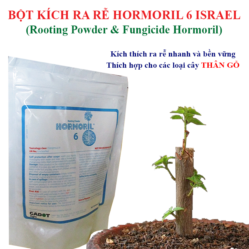 Bột Kích Ra Rễ Israel cho cây Thân Gỗ Hormoril 6, kích thích ra rễ nhanh, sử dụng giâm, chiết các loại cây thân cứng như cây hoa hồng, hoa giấy