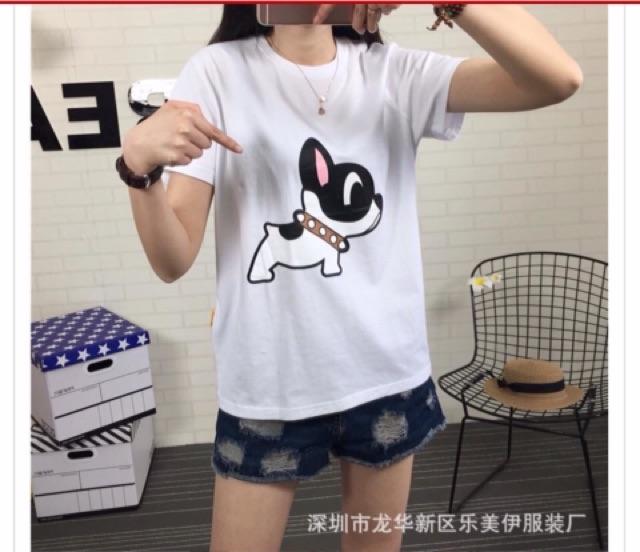 Áo thun có size lớn hình nhiều size