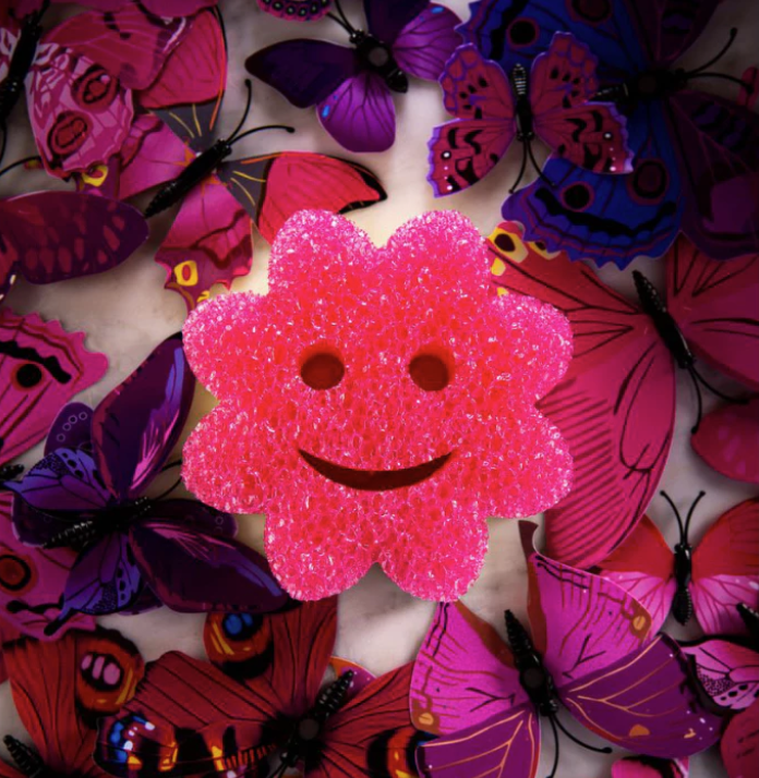 Set 3 miếng Bông Hoa Colors Scrub Mommy - 2 mặt đa năng - an toàn - chống mùi