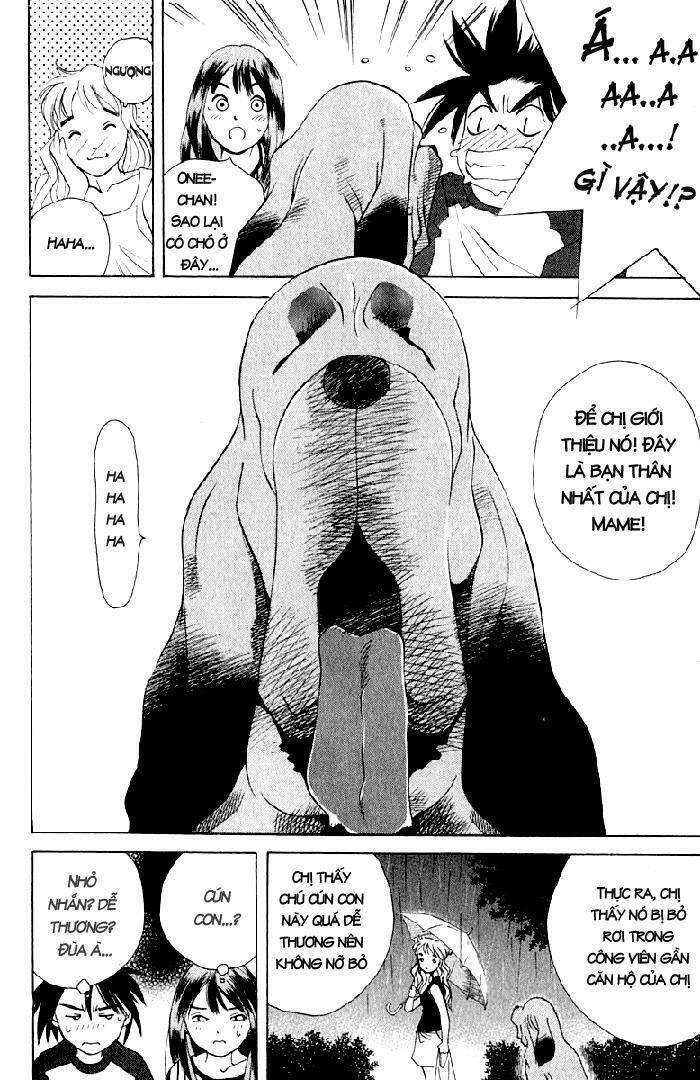 parallel chapter 17 9